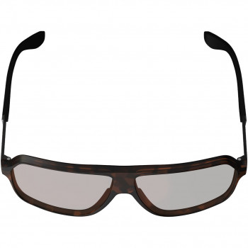 Leatt TheViz Andes Polarized pyöräilylasit, ruskea