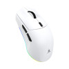 White Shark CADOR WGM-5020 pelihiiri, valkoinen