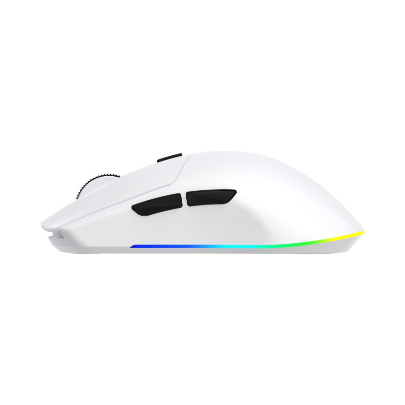 White Shark CADOR WGM-5020 pelihiiri, valkoinen