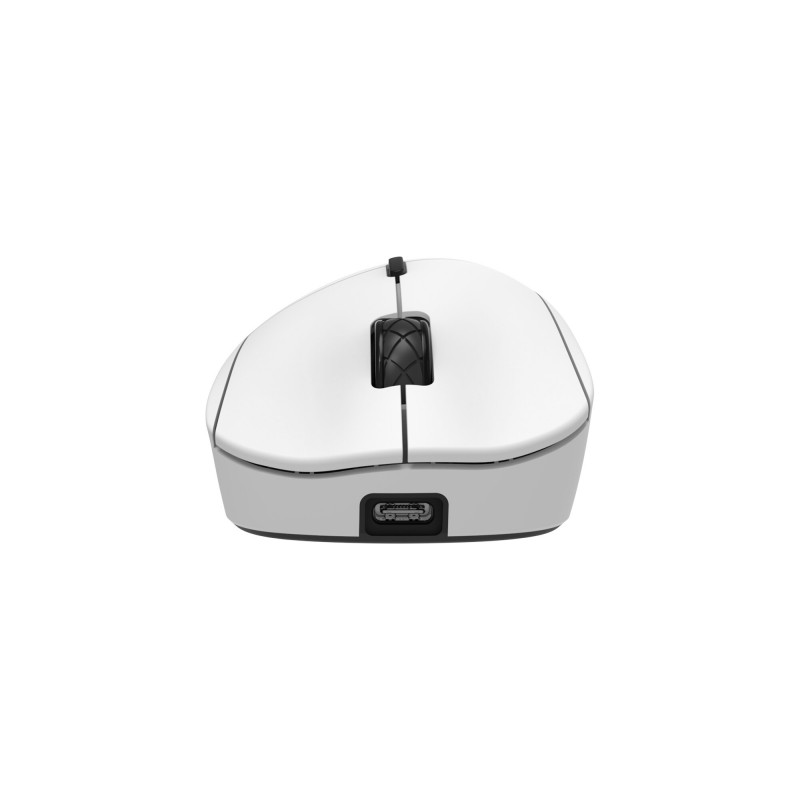 White Shark TOR WGM-5024 pelihiiri, valkoinen