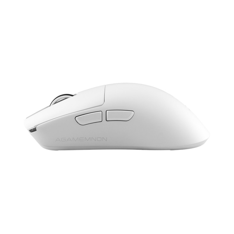 White Shark AGAMEMNON WGM-9012 pelihiiri, valkoinen