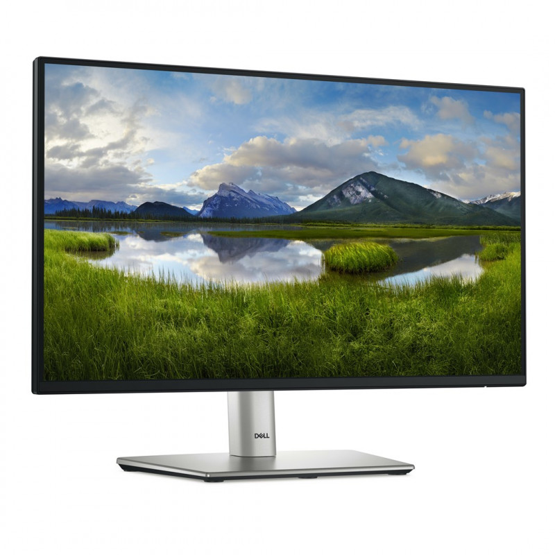 Dell Pro P2225H näyttö (210-BMHD)