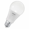 Osram SMART+ MATTER Classic A100 827 865 TW älylamppu, E27, 14 W, säädettävä valkoinen valo, Wi-Fi