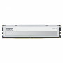 Klevv Fit V KD5AGU880-56K300Q DDR5-5600 CL30 16 Gt muistimoduuli