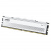 Klevv Fit V KD5AGU880-56K300Q DDR5-5600 CL30 16 Gt muistimoduuli