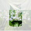 Yankee Candle Clean Cotton riippuva autoilmanraikastin