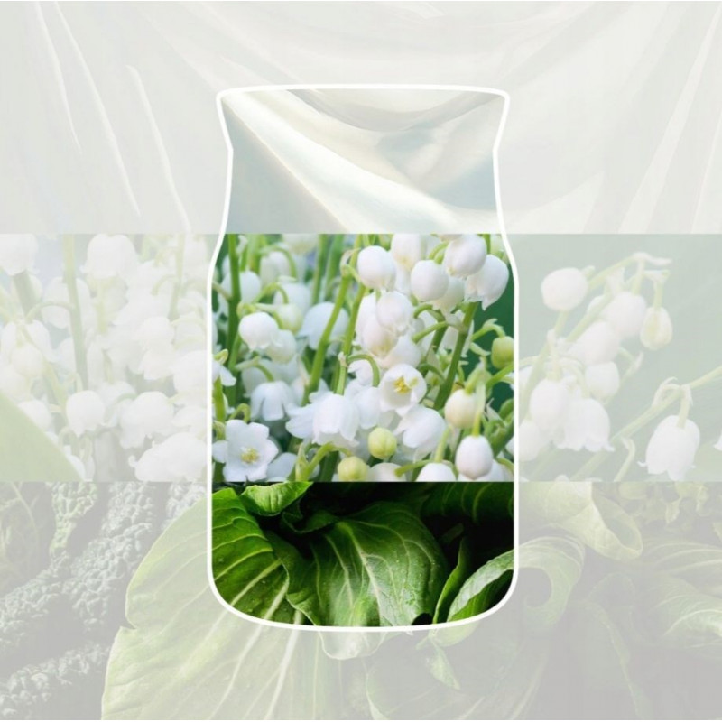 Yankee Candle Clean Cotton riippuva autoilmanraikastin