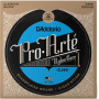 D'Addario EJ46 Pro-Arté kielet klassiselle kitaralle, kova kireys, 28-44