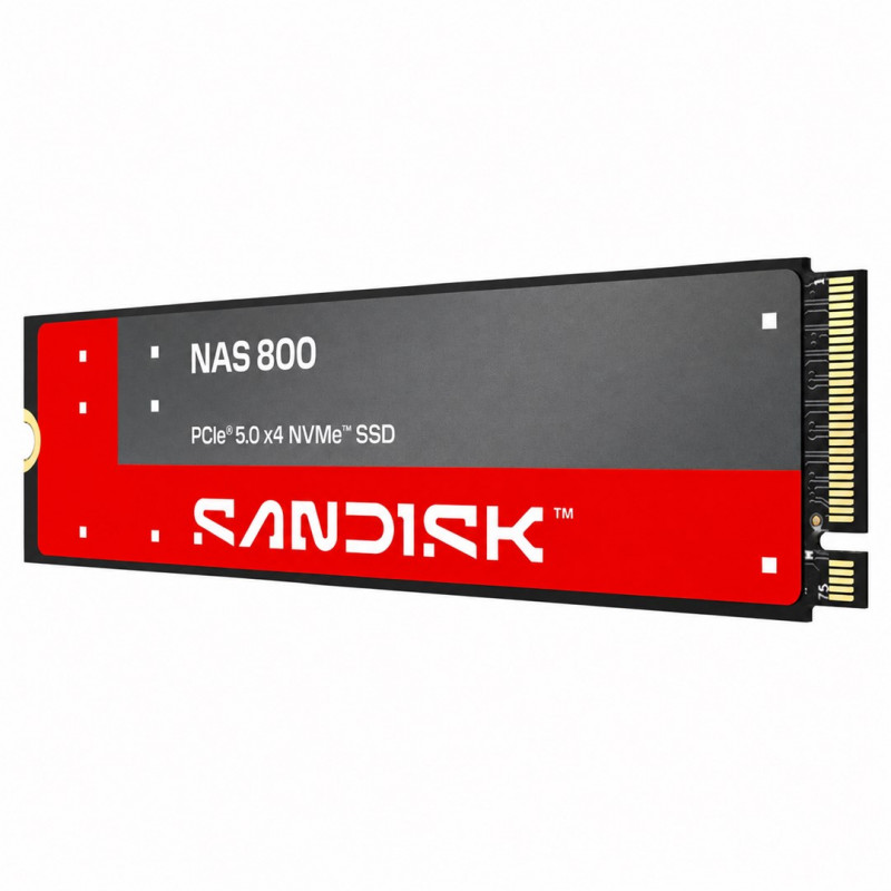 SanDisk NAS 800 1.92 TB M.2 2280 NVMe Gen 5 sisäinen SSD (SDSNP2192TAN-000E0)