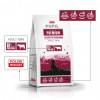PUPIL Premium Mini Rich in Beef -kuivakoiranruoka, 10 kg