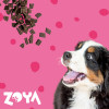 ZOYA ColdPRO Beef kuivaruoka koirille, 1 kg