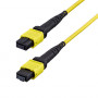 StarTech.com OS2MTP12AOFNP2M MTP/MPO-12 yksimuotokuitukaapeli (2 m)