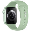 Tech-Protect silikoniranneke Apple Watch 8 / 9 / 10 / 11 / 12 / SE (40 / 41 / 42 mm), pistaasi