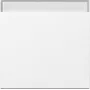 Gira 329903 keinu merkintäkentällä System 55, puhtaanvalkoinen