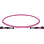 Lightwin MPO-12 -kuitupatchkaapeli OM4, 12F, UPC Female-Female, Type B, 3 m, LSZH