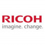 Ricoh D0BN2243 Kehittäjä keltainen