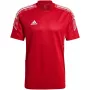 adidas Condivo 21 harjoitustakki Primeblue punainen GH7166 M
