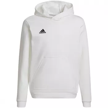 adidas Entrada 22 huppari lasten collegepaita valkoinen HG6303 koko 128