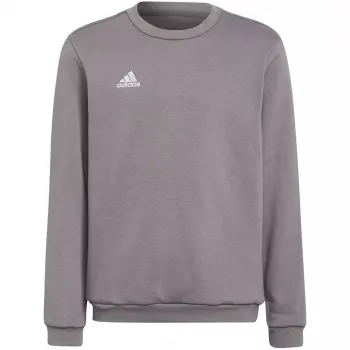 adidas Entrada 22 collegepaita harmaa nuoret 128cm