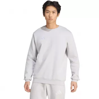 adidas Entrada 26 miesten collegepaita harmaa L