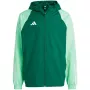 adidas Tiro 23 Competition All Weather miesten takki vihreä IC4570