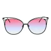 ANA HICKMANN naisten aurinkolasit HI3048-5809C ruskea/kulta gradient 58 mm