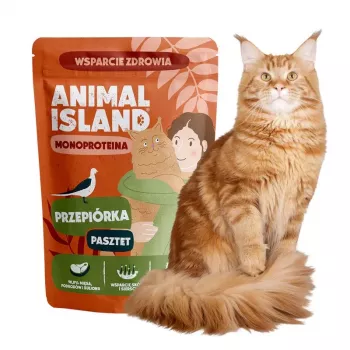 ANIMAL ISLAND Mono Quail märkä kissanruoka 100g