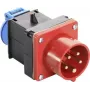 AS SCHWABE 400V 16A CEE - Schuko-adapterikaapeli, 5-napainen - 2-napainen, 0,3m, IP44, musta 60495