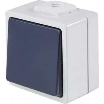 AS SCHWABE 62452 pinta-asennettava painonappi, IP54, harmaa, 250V/10A, 1NO