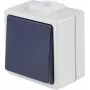 AS SCHWABE 62452 pinta-asennettava painonappi, IP54, harmaa, 250V/10A, 1NO