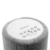 Audio Pro G10 älykaiutin vaaleanharmaa