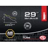 Author 29