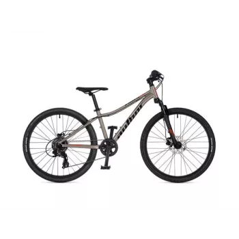 Author A-Matrix 24D 24 tuuman lasten polkupyörä, Titanium Matte/Black Matte, 2026