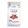 BALTICA NUTRACEUTIC hypoallergeeninen lammas & riisi kuivaruoka koirille erittäin pienille & pienille roduille, 3 kg