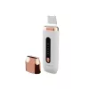 Beautifly B-Scrub PRO monitoiminen ultraäänikasvojenpuhdistuslaite
