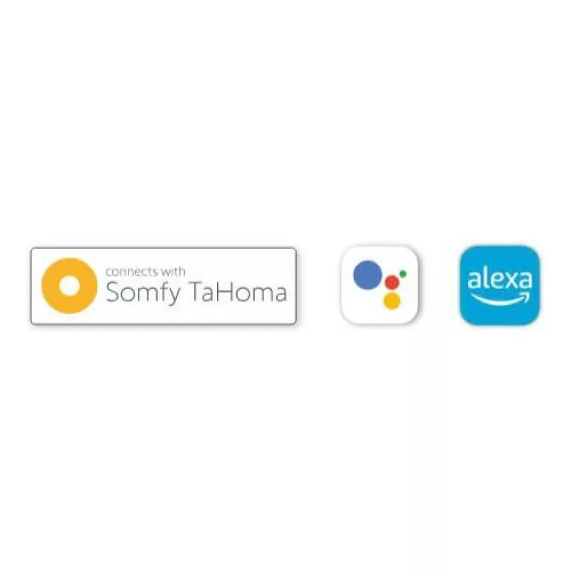 BFT B-EBA Wi-Fi EVO liitettävyysmoduuli antennilla (Bluetooth/easyAXS/TaHoma)