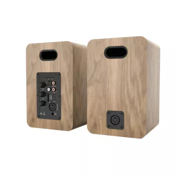 Blaupunkt BS50OK 2-tie lattiakaiutin 50W RMS ruskea