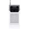 Blaupunkt PR4WH kannettava AM/FM-radio harmaa