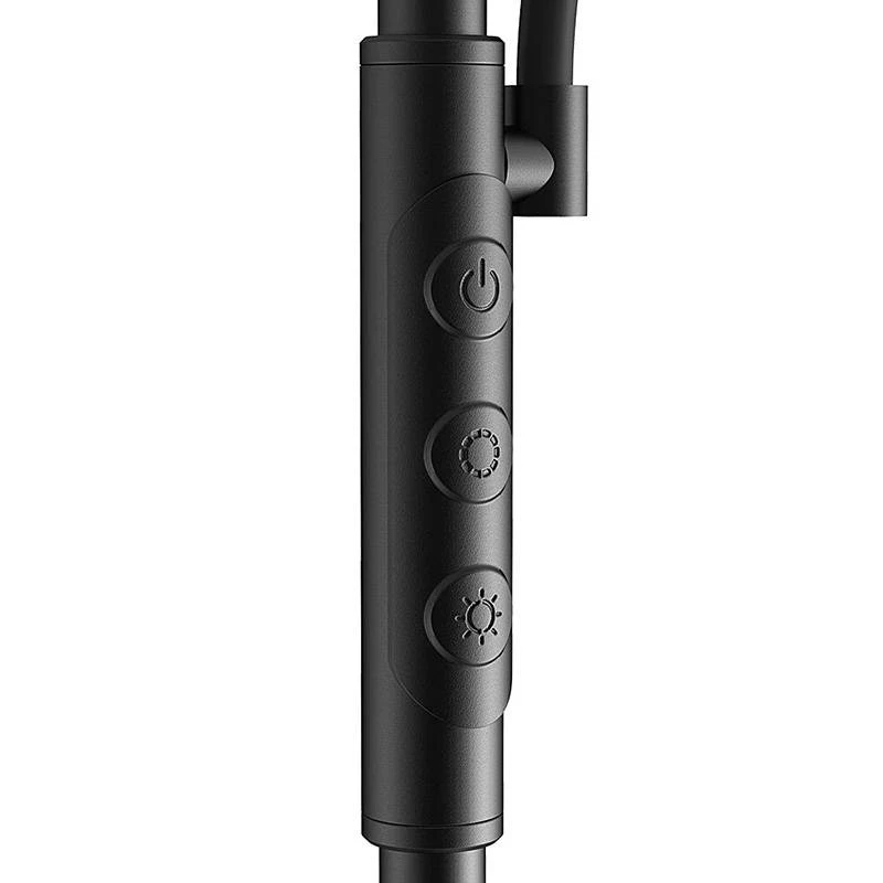 BLITZWOLF kaksinkertainen jalkalamppu kaukosäätimellä BlitzWill BWL-FL-0001, 36W (musta)
