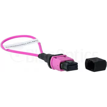 BlueOptics Loopback-sovitin MPO/MTP monimuoto OM4
