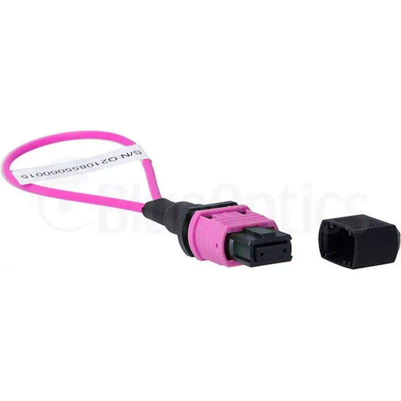 BlueOptics Loopback-sovitin MPO/MTP monimuoto OM4