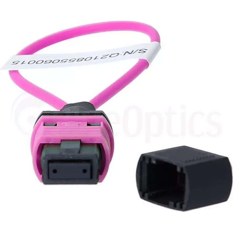 BlueOptics Loopback-sovitin MPO/MTP monimuoto OM4
