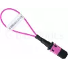 BlueOptics Loopback-sovitin MPO/MTP monimuoto OM4