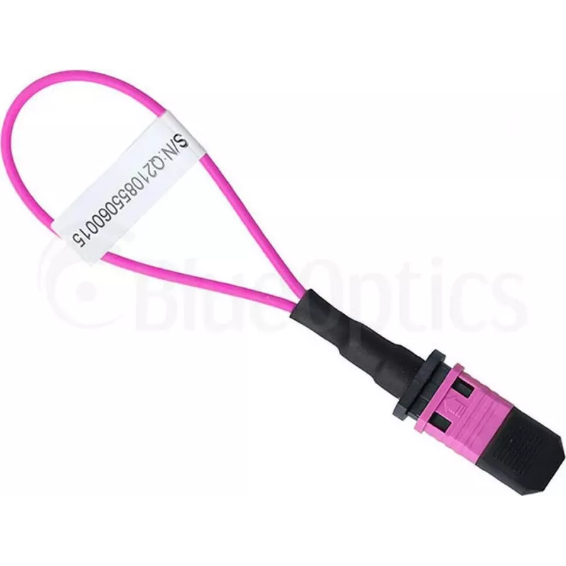 BlueOptics Loopback-sovitin MPO/MTP monimuoto OM4