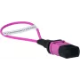 BlueOptics Loopback-sovitin MPO/MTP monimuoto OM4