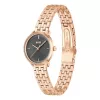 BOSS naisten kello 1502820 kvartsikello 28 mm ruostumaton teräs mesh hopea