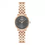 BOSS naisten kello 1502820 kvartsikello 28 mm ruostumaton teräs mesh hopea