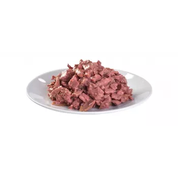BRIT Care Fillets in Gravy lohi märkäruoka kissoille 85 g