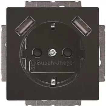 BUSCH-JAEGER BJ 20 EUCB2USB-81 SCHUKO pistorasia 2 USB-liitännällä, alppivalkoinen 2CKA002011A6267