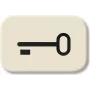 BUSCH-JAEGER painike Symbol Key keinupainike 2520 2525TR Duro 2000 SI 2525TR (1433-0-0440)